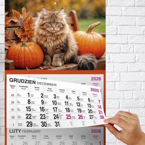 Kalendarz ścienny KOT 310mm x 790mm Press Kalendarz ścienny KOT 310mm x 790mm Press