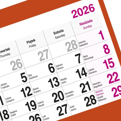 Kalendarz ścienny KOT 310mm x 790mm Press Kalendarz ścienny KOT 310mm x 790mm Press