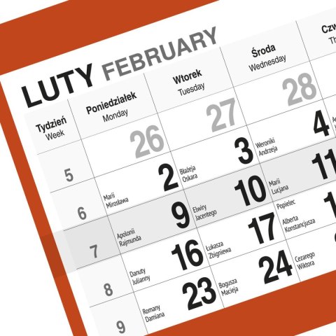 Kalendarz ścienny KOT 310mm x 790mm Press Kalendarz ścienny KOT 310mm x 790mm Press