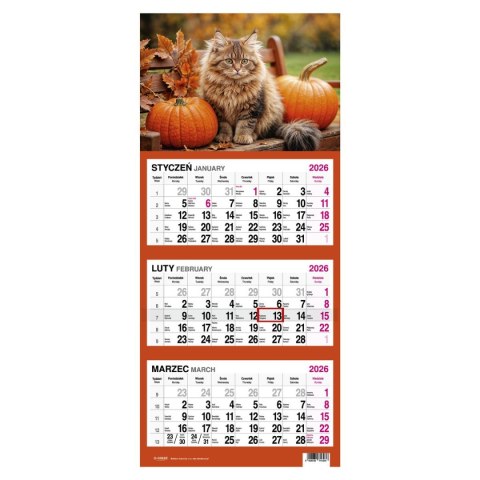 Kalendarz ścienny KOT 310mm x 790mm Press Kalendarz ścienny KOT 310mm x 790mm Press