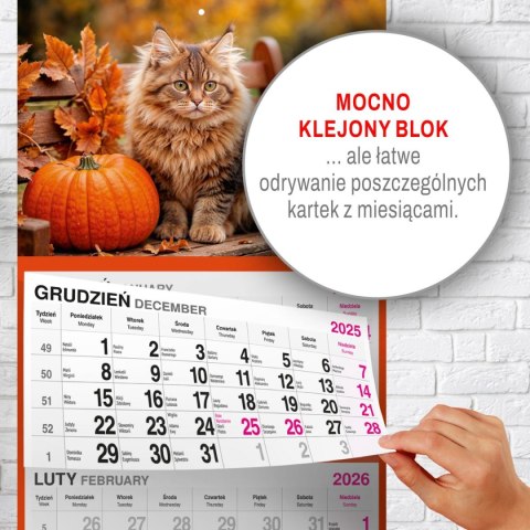 Kalendarz ścienny KOT 310mm x 790mm Press Kalendarz ścienny KOT 310mm x 790mm Press