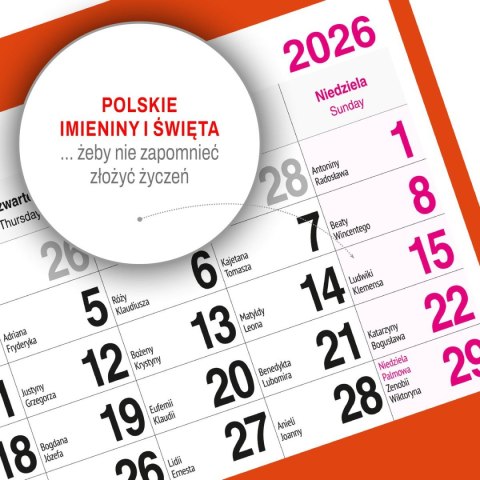 Kalendarz ścienny KOT 310mm x 790mm Press Kalendarz ścienny KOT 310mm x 790mm Press