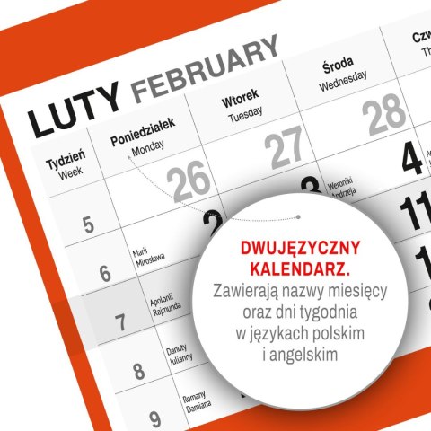 Kalendarz ścienny KOT 310mm x 790mm Press Kalendarz ścienny KOT 310mm x 790mm Press