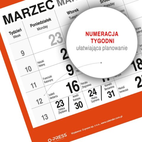 Kalendarz ścienny KOT 310mm x 790mm Press Kalendarz ścienny KOT 310mm x 790mm Press