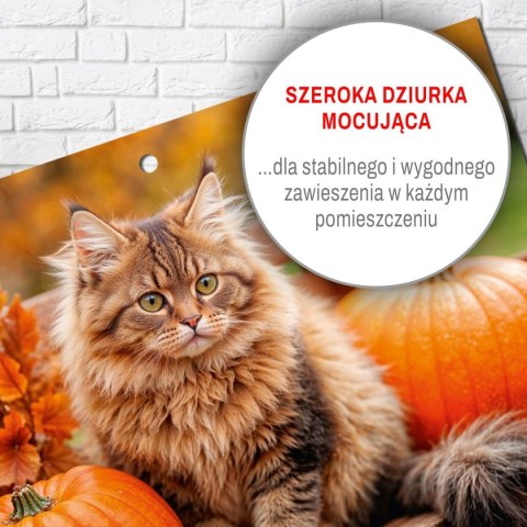 Kalendarz ścienny KOT 310mm x 790mm Press Kalendarz ścienny KOT 310mm x 790mm Press