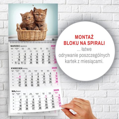 Kalendarz ścienny KOT 310mm x 790mm Press Kalendarz ścienny KOT 310mm x 790mm Press
