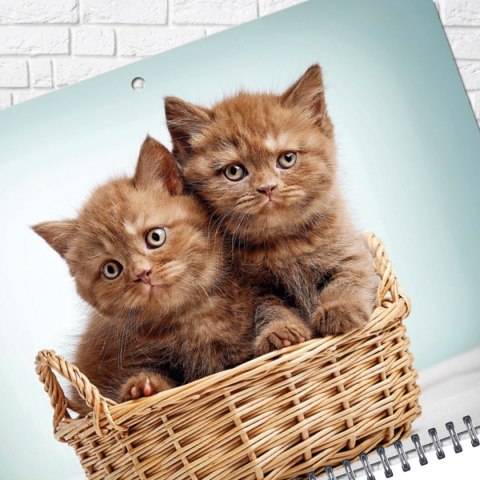 Kalendarz ścienny KOT 310mm x 790mm Press Kalendarz ścienny KOT 310mm x 790mm Press