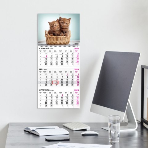 Kalendarz ścienny KOT 310mm x 790mm Press Kalendarz ścienny KOT 310mm x 790mm Press