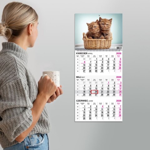 Kalendarz ścienny KOT 310mm x 790mm Press Kalendarz ścienny KOT 310mm x 790mm Press