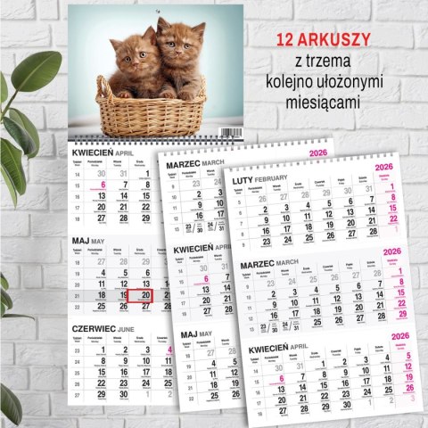 Kalendarz ścienny KOT 310mm x 790mm Press Kalendarz ścienny KOT 310mm x 790mm Press