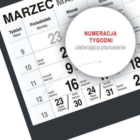 Kalendarz ścienny KOT A5 210mm x 450mm Press Kalendarz ścienny KOT A5 210mm x 450mm Press