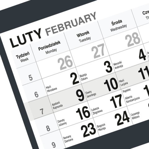 Kalendarz ścienny KOT A5 210mm x 450mm Press Kalendarz ścienny KOT A5 210mm x 450mm Press