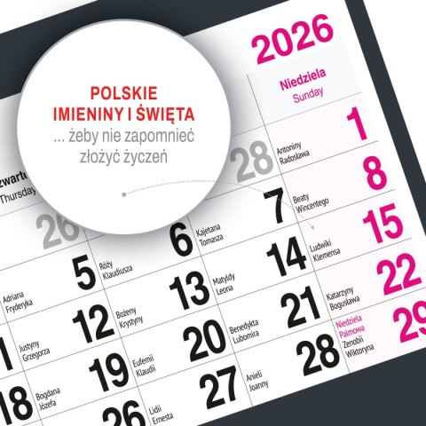 Kalendarz ścienny KOT A5 210mm x 450mm Press Kalendarz ścienny KOT A5 210mm x 450mm Press