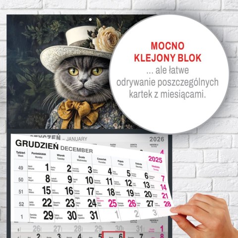 Kalendarz ścienny KOT A5 210mm x 450mm Press Kalendarz ścienny KOT A5 210mm x 450mm Press