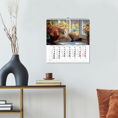 Kalendarz ścienny KOTY 33x33 330mm x 330mm Press Kalendarz ścienny KOTY 33x33 330mm x 330mm Press