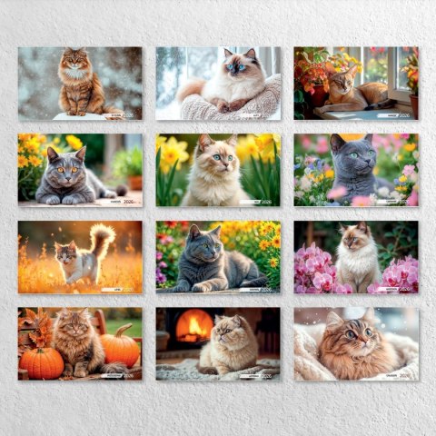 Kalendarz ścienny KOTY 33x33 330mm x 330mm Press Kalendarz ścienny KOTY 33x33 330mm x 330mm Press