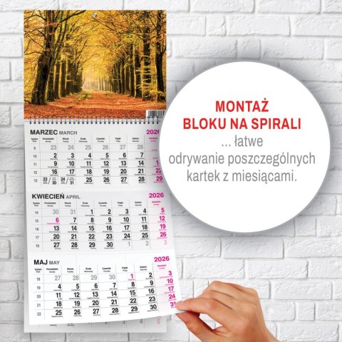 Kalendarz ścienny LAS A4 Press Kalendarz ścienny LAS A4 Press