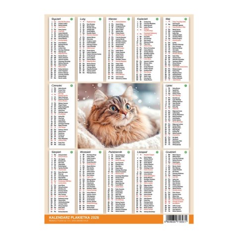Kalendarz ścienny MIX 250mm x 353mm Press Kalendarz ścienny MIX 250mm x 353mm Press