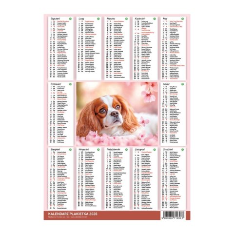 Kalendarz ścienny MIX 250mm x 353mm Press Kalendarz ścienny MIX 250mm x 353mm Press