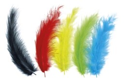 Piórka Craft-Fun Series mix 20 szt Titanum