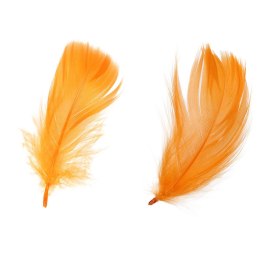Piórka Craft-Fun Series pomarańczowy Titanum
