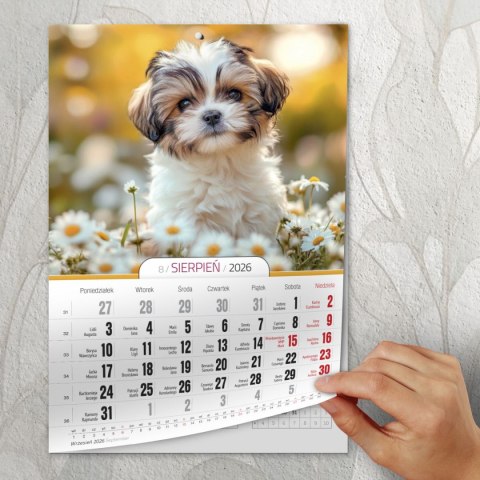 Kalendarz ścienny A4 MILUSIŃSCY A4 Press (5904830713473) Kalendarz ścienny A4 MILUSIŃSCY A4 Press (5904830713473)