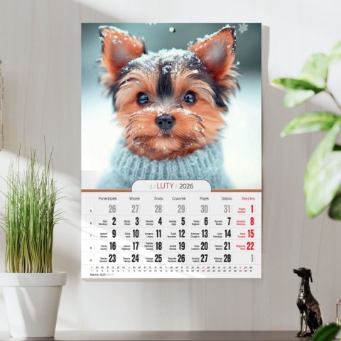 Kalendarz ścienny A4 MILUSIŃSCY A4 Press (5904830713473) Kalendarz ścienny A4 MILUSIŃSCY A4 Press (5904830713473)