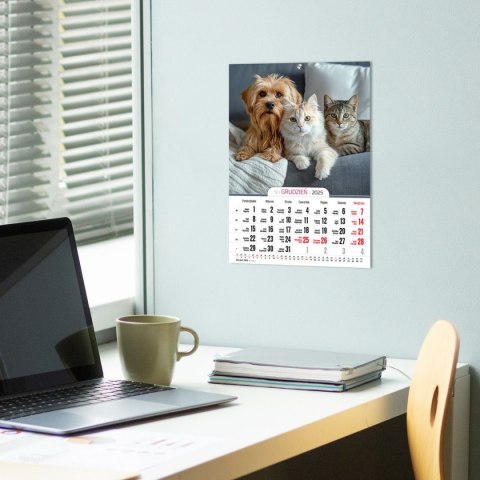 Kalendarz ścienny A4 MILUSIŃSCY A4 Press (5904830713473) Kalendarz ścienny A4 MILUSIŃSCY A4 Press (5904830713473)