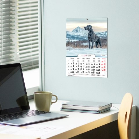 Kalendarz ścienny A4 PSY A4 Press (5904830713374) Kalendarz ścienny A4 PSY A4 Press (5904830713374)