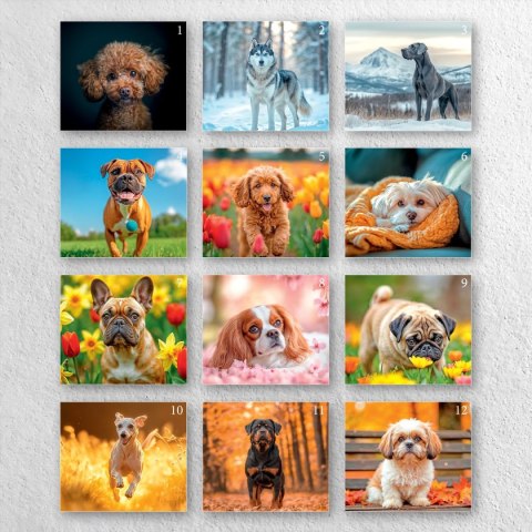 Kalendarz ścienny A4 PSY A4 Press (5904830713374) Kalendarz ścienny A4 PSY A4 Press (5904830713374)