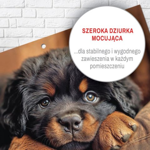 Kalendarz ścienny JEDNODZIELNY PIES A4 210mm x 295mm Press Kalendarz ścienny JEDNODZIELNY PIES A4 210mm x 295mm Press