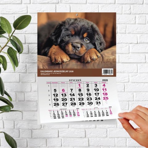 Kalendarz ścienny JEDNODZIELNY PIES A4 210mm x 295mm Press Kalendarz ścienny JEDNODZIELNY PIES A4 210mm x 295mm Press
