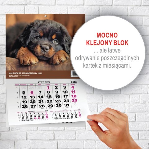 Kalendarz ścienny JEDNODZIELNY PIES A4 210mm x 295mm Press Kalendarz ścienny JEDNODZIELNY PIES A4 210mm x 295mm Press