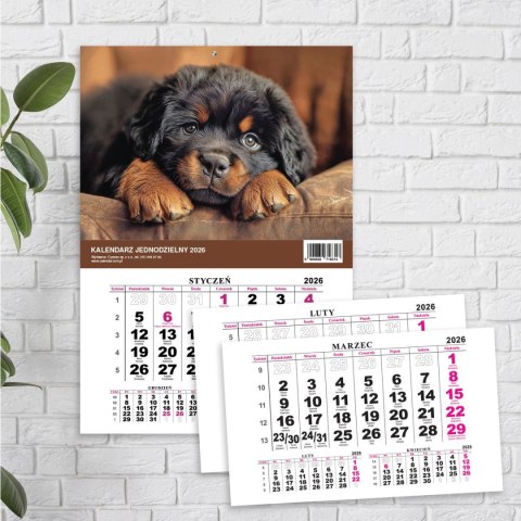 Kalendarz ścienny JEDNODZIELNY PIES A4 210mm x 295mm Press Kalendarz ścienny JEDNODZIELNY PIES A4 210mm x 295mm Press