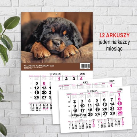 Kalendarz ścienny JEDNODZIELNY PIES A4 210mm x 295mm Press Kalendarz ścienny JEDNODZIELNY PIES A4 210mm x 295mm Press