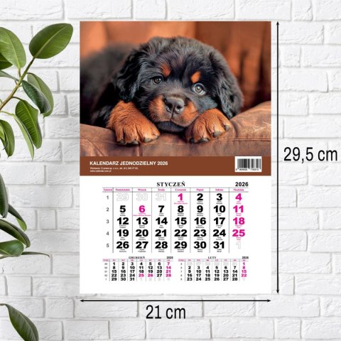 Kalendarz ścienny JEDNODZIELNY PIES A4 210mm x 295mm Press Kalendarz ścienny JEDNODZIELNY PIES A4 210mm x 295mm Press