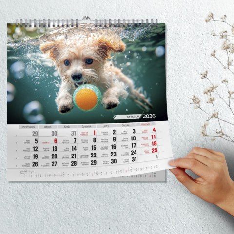 Kalendarz ścienny PSY POD WODĄ 33x33 330mm x 330mm Press Kalendarz ścienny PSY POD WODĄ 33x33 330mm x 330mm Press
