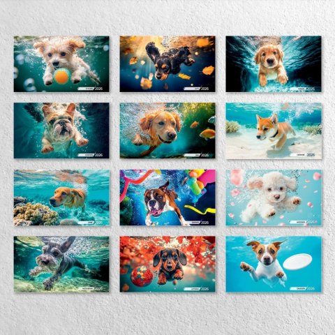 Kalendarz ścienny PSY POD WODĄ 33x33 330mm x 330mm Press Kalendarz ścienny PSY POD WODĄ 33x33 330mm x 330mm Press