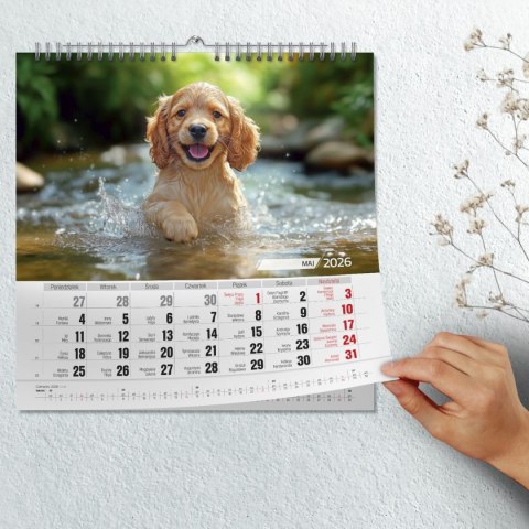 Kalendarz ścienny Przyjaciele 33x33 330mm x 330mm Press