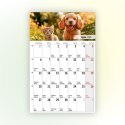 Kalendarz ścienny na lodówkę z magnesem 137mm x 210mm Press (MILUSIŃSCY) Kalendarz ścienny na lodówkę z magnesem 137mm x 210mm Press (MILUSIŃSCY)