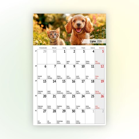 Kalendarz ścienny na lodówkę z magnesem 137mm x 210mm Press (MILUSIŃSCY) Kalendarz ścienny na lodówkę z magnesem 137mm x 210mm Press (MILUSIŃSCY)
