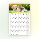 Kalendarz ścienny na lodówkę z magnesem 137mm x 210mm Press (MILUSIŃSCY) Kalendarz ścienny na lodówkę z magnesem 137mm x 210mm Press (MILUSIŃSCY)
