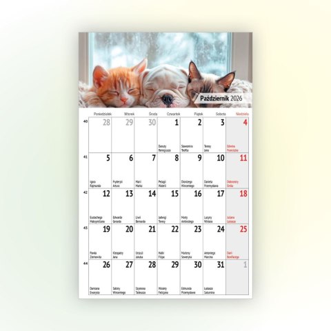 Kalendarz ścienny na lodówkę z magnesem 137mm x 210mm Press (MILUSIŃSCY) Kalendarz ścienny na lodówkę z magnesem 137mm x 210mm Press (MILUSIŃSCY)