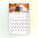 Kalendarz ścienny na lodówkę z magnesem 137mm x 210mm Press (MILUSIŃSCY) Kalendarz ścienny na lodówkę z magnesem 137mm x 210mm Press (MILUSIŃSCY)