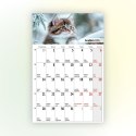 Kalendarz ścienny na lodówkę z magnesem 137mm x 210mm Press (MILUSIŃSCY) Kalendarz ścienny na lodówkę z magnesem 137mm x 210mm Press (MILUSIŃSCY)
