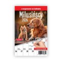 Kalendarz ścienny na lodówkę z magnesem 137mm x 210mm Press (MILUSIŃSCY) Kalendarz ścienny na lodówkę z magnesem 137mm x 210mm Press (MILUSIŃSCY)