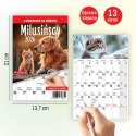 Kalendarz ścienny na lodówkę z magnesem 137mm x 210mm Press (MILUSIŃSCY) Kalendarz ścienny na lodówkę z magnesem 137mm x 210mm Press (MILUSIŃSCY)