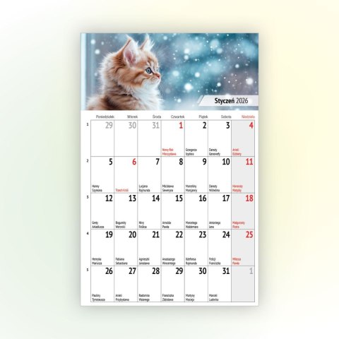 Kalendarz ścienny na lodówkę z magnesem 137mm x 210mm Press (MILUSIŃSCY) Kalendarz ścienny na lodówkę z magnesem 137mm x 210mm Press (MILUSIŃSCY)