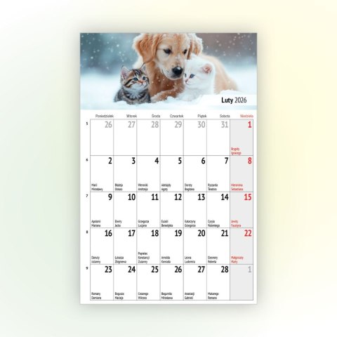 Kalendarz ścienny na lodówkę z magnesem 137mm x 210mm Press (MILUSIŃSCY) Kalendarz ścienny na lodówkę z magnesem 137mm x 210mm Press (MILUSIŃSCY)