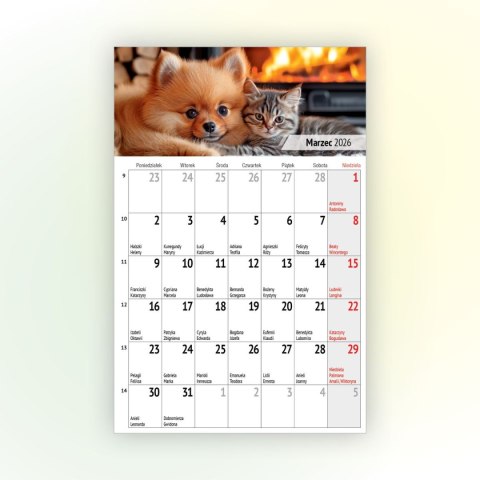 Kalendarz ścienny na lodówkę z magnesem 137mm x 210mm Press (MILUSIŃSCY) Kalendarz ścienny na lodówkę z magnesem 137mm x 210mm Press (MILUSIŃSCY)